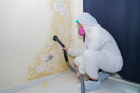 Best Mold Removal for HVAC Installations in Glenarden, MD